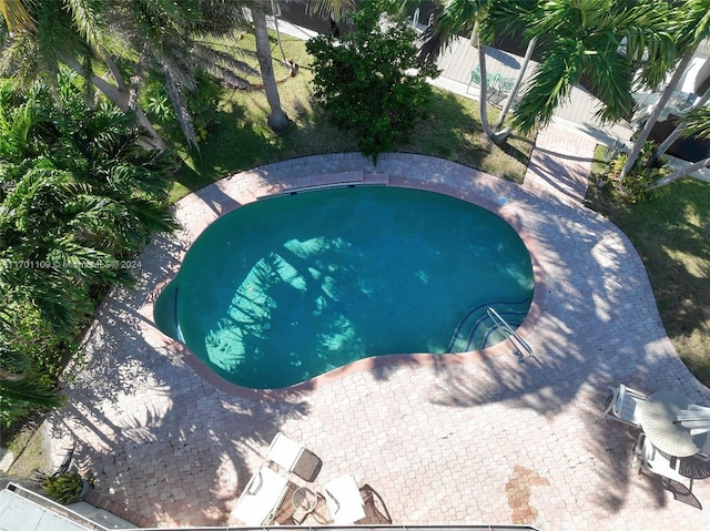 view of swimming pool with a patio area