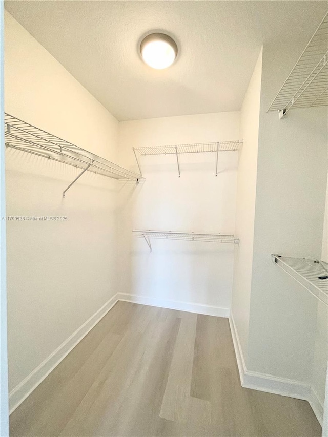 spacious closet with hardwood / wood-style flooring