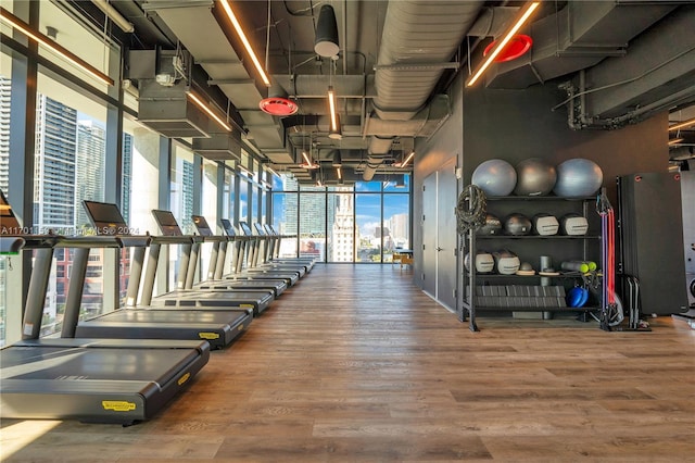 exercise room featuring wood-type flooring and floor to ceiling windows