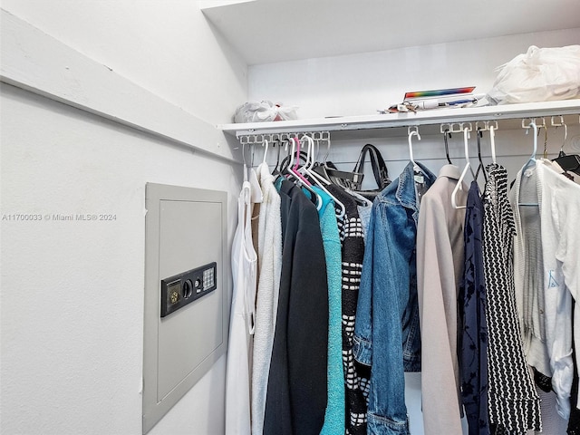 view of spacious closet