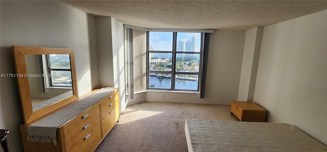 unfurnished bedroom with light colored carpet and a textured ceiling