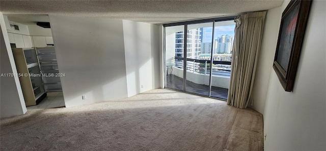 empty room featuring light carpet, expansive windows, and a textured ceiling