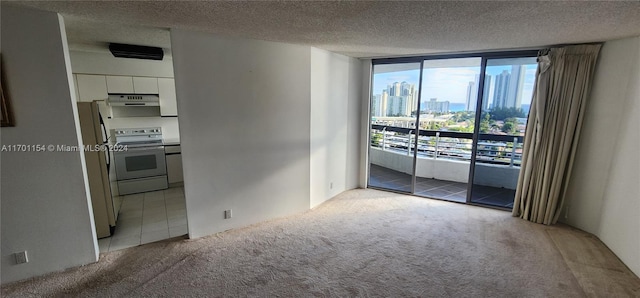 carpeted empty room featuring a textured ceiling