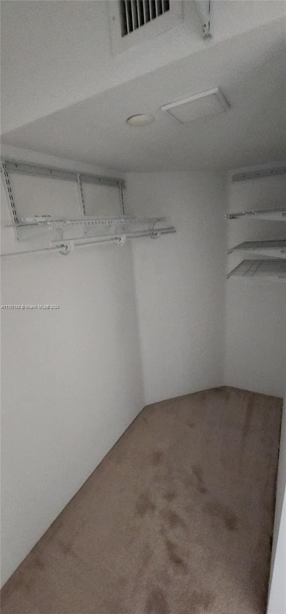 spacious closet featuring carpet flooring