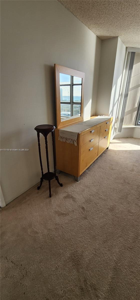 interior space with a textured ceiling and carpet floors