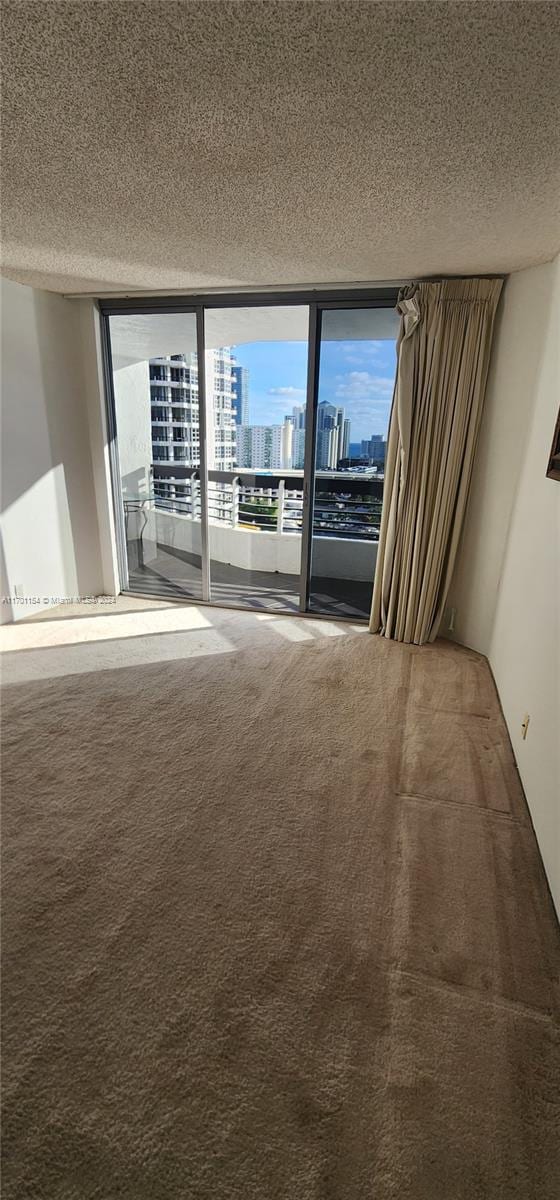 empty room featuring carpet flooring, expansive windows, and a textured ceiling