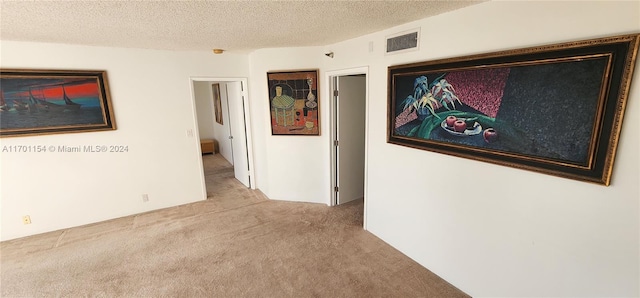 interior space with a textured ceiling