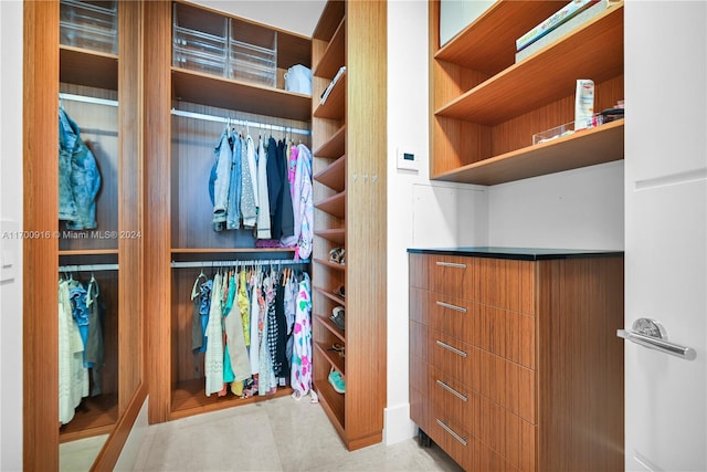 view of spacious closet