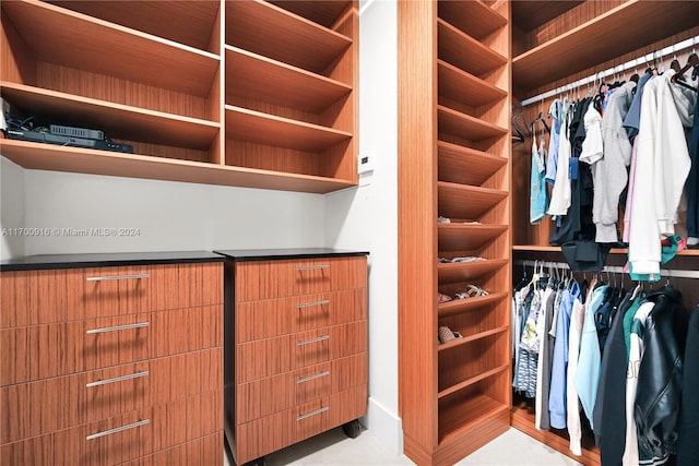 view of spacious closet