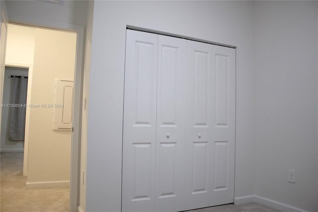 interior space with light carpet and a closet