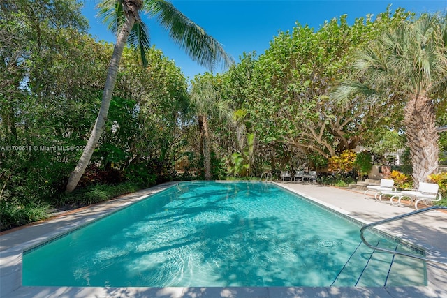 view of pool with a patio