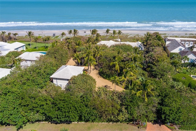 bird's eye view with a view of the beach and a water view