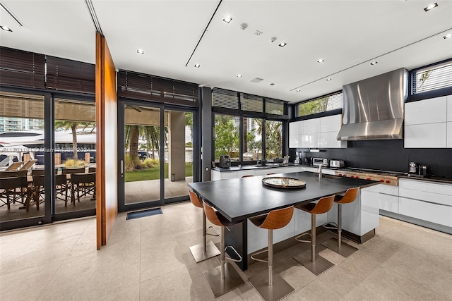 kitchen with decorative backsplash, white cabinetry, plenty of natural light, and range hood