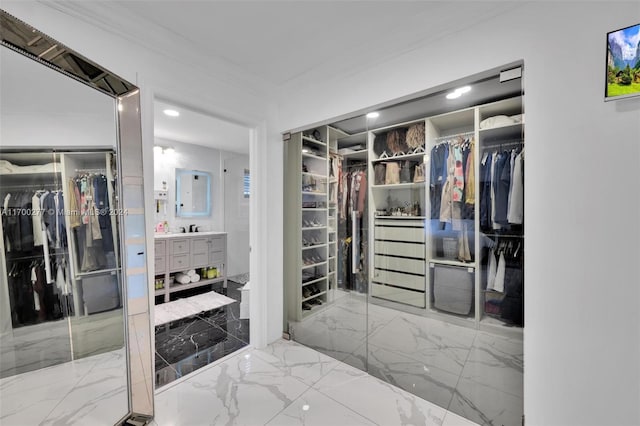 walk in closet featuring sink