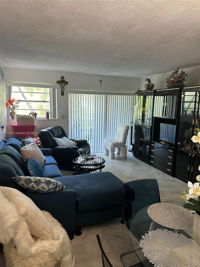 living room featuring a textured ceiling