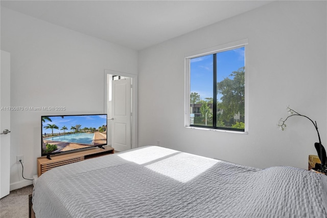 887 NE 211th St Unit 887, Miami, FL 33179 - bedroom featuring carpet flooring