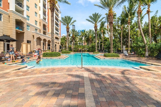 view of pool with a patio