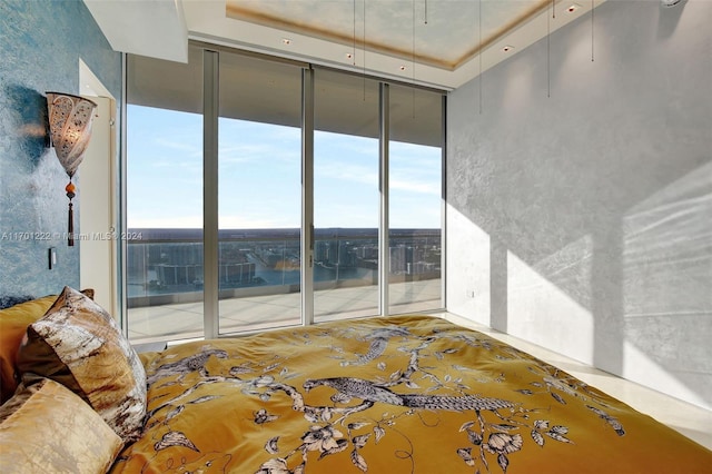 spare room featuring a tray ceiling and expansive windows