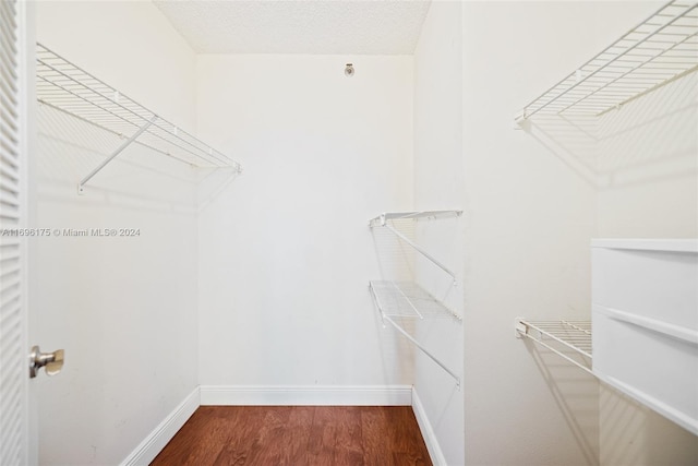 spacious closet featuring dark wood-type flooring