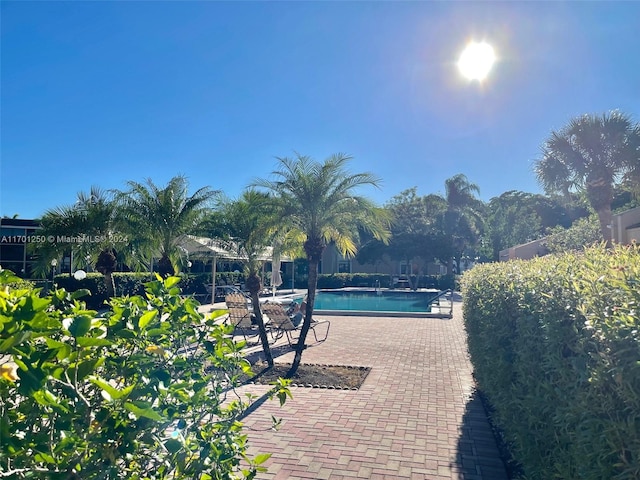 view of pool with a patio