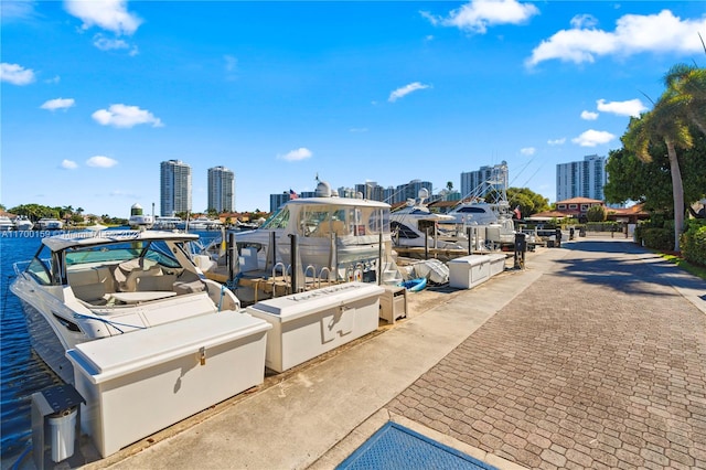 dock area with a water view