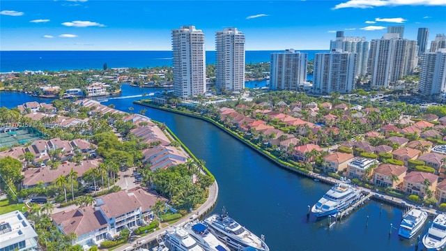 aerial view with a water view