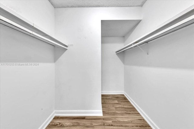 walk in closet featuring hardwood / wood-style flooring