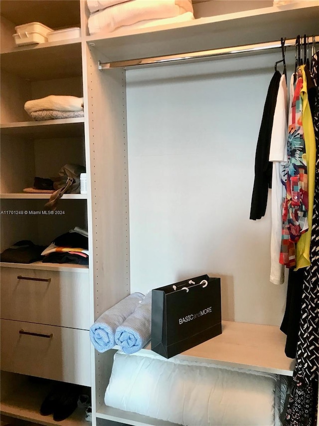 2900 NE 7th Ave Unit 3608, Miami, FL 33137 - view of closet