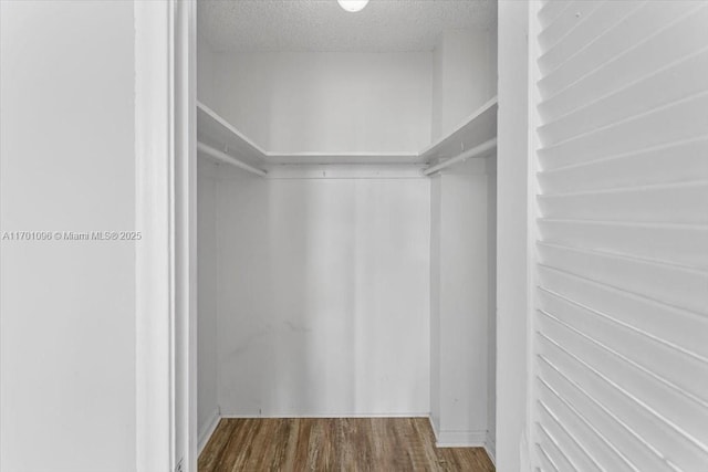 spacious closet with hardwood / wood-style floors