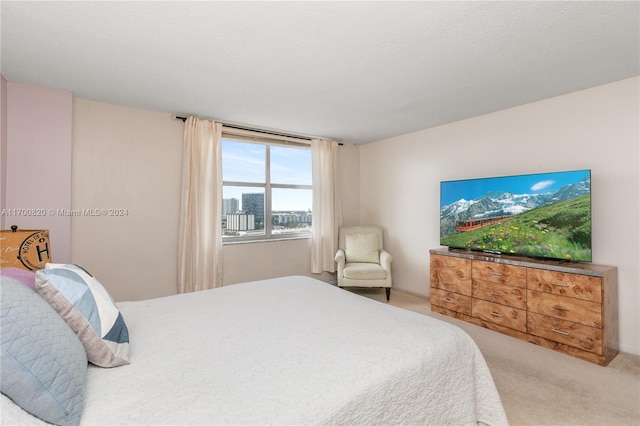 carpeted bedroom with a textured ceiling