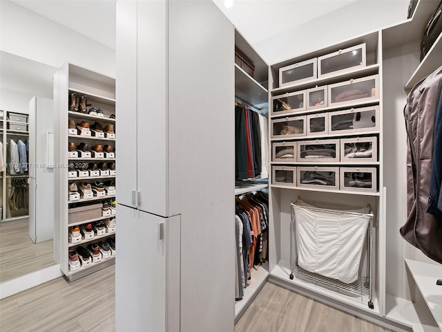 spacious closet featuring light wood finished floors