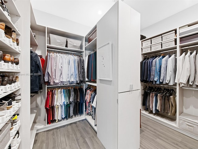 walk in closet featuring wood finished floors