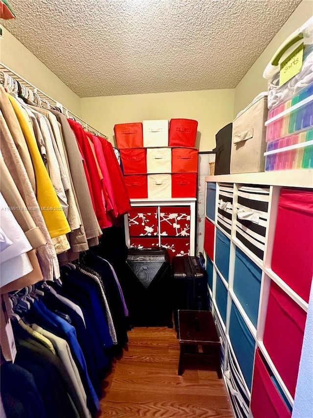 walk in closet featuring wood-type flooring