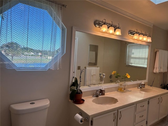 bathroom with vanity, a healthy amount of sunlight, and toilet