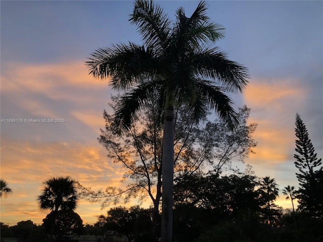 view of nature at dusk