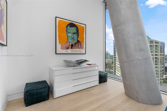 interior space with a wealth of natural light and light hardwood / wood-style flooring