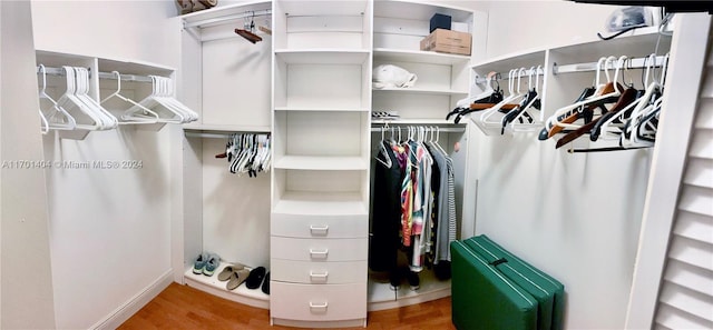 walk in closet with wood-type flooring