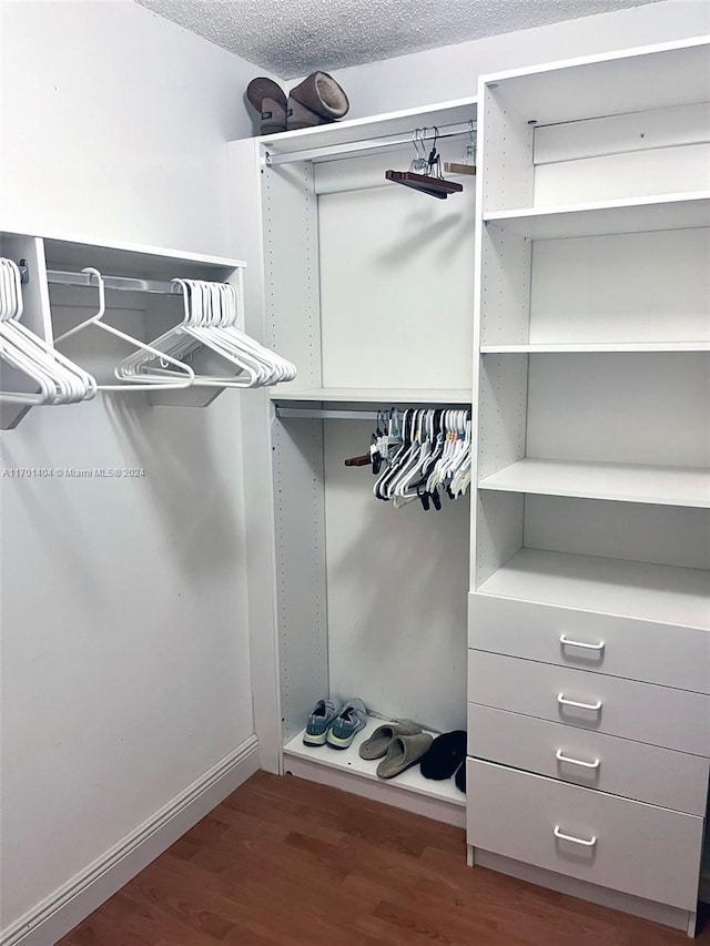 spacious closet with dark wood-type flooring