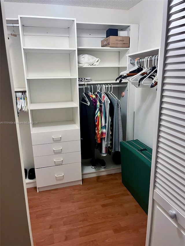 10244 NW 51st Ter, Doral, FL 33178 - walk in closet featuring light wood-type flooring