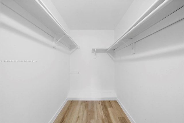 spacious closet featuring wood-type flooring