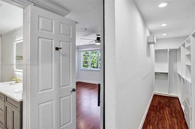 spacious closet featuring dark hardwood / wood-style floors and ceiling fan