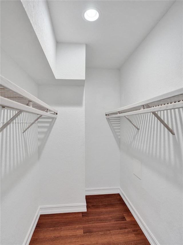 spacious closet with hardwood / wood-style flooring