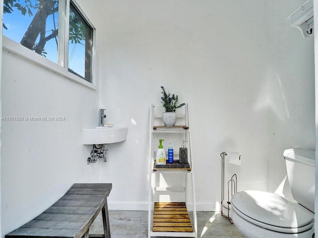 bathroom with toilet, wood-type flooring, and sink