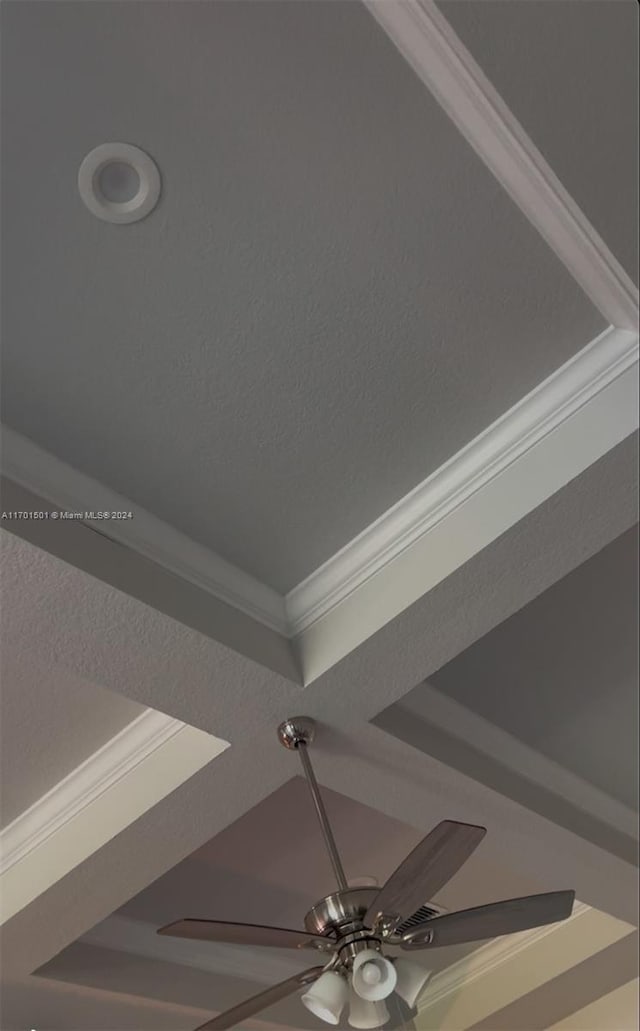 interior details with a raised ceiling, ceiling fan, and ornamental molding