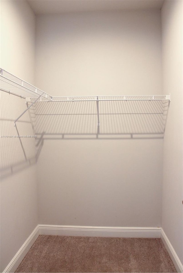 5231 NW Iredell St, Port St Lucie, FL 34986 - walk in closet with carpet floors