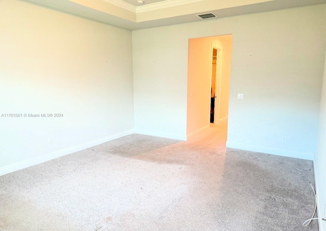 carpeted empty room with crown molding