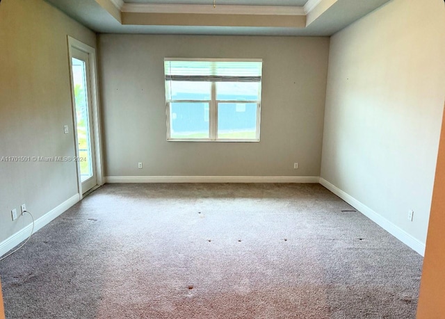 spare room with a raised ceiling, crown molding, and plenty of natural light