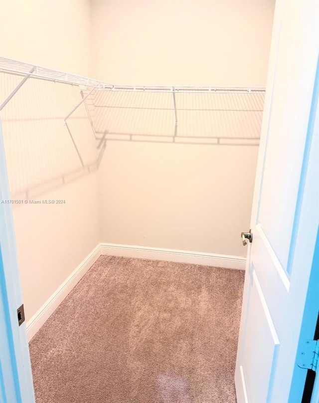 walk in closet with carpet flooring