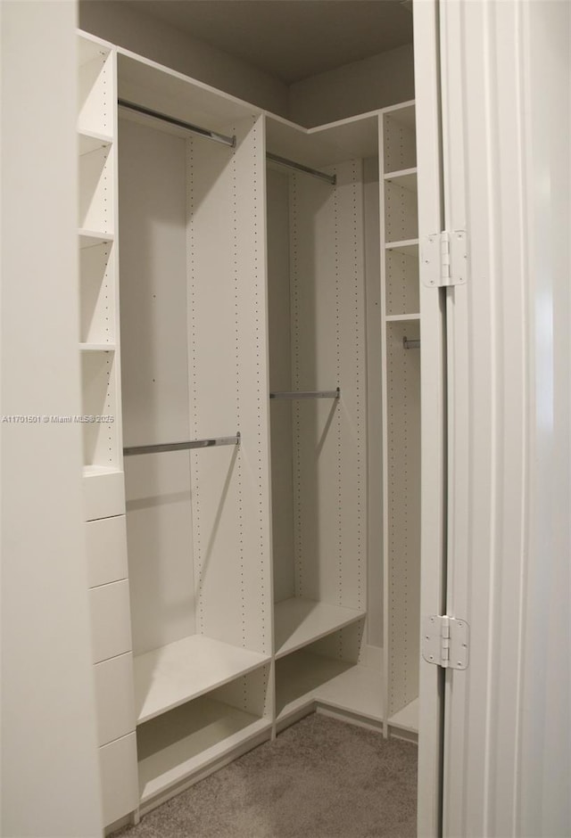 5231 NW Iredell St, Port St Lucie, FL 34986 - spacious closet featuring carpet flooring