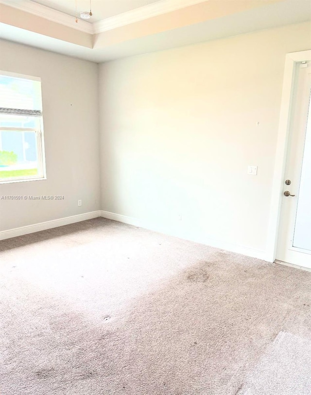 spare room featuring carpet flooring, crown molding, and a tray ceiling